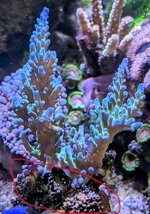 PXL_20241023_095949120.MP~2.jpg