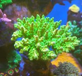 20241027_084748.jpg