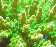 20241027_084752.jpg