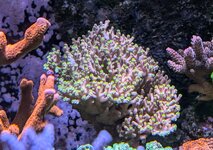 PXL_20241023_094450708.MP~2.jpg
