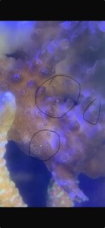 IMG_9803.jpeg