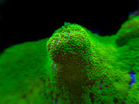 APC_1333-hdr.jpeg