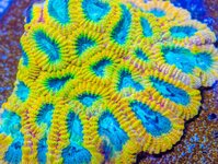IMG_2047.jpeg