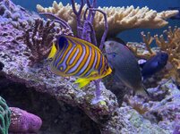 IMG_3364.jpeg