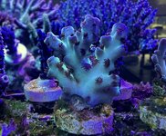 IMG_3712.JPG