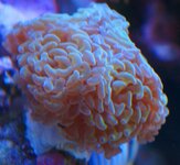 DSC09147.JPG