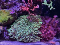 IMG_0760.jpeg