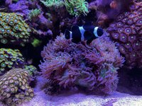 IMG_0755.jpeg