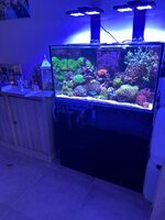 IMG_0733.jpeg