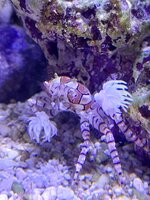 20241113_201051.jpg