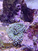 20241113_201105.jpg