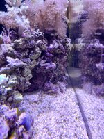 20241113_201226.jpg