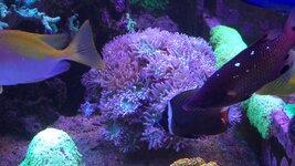 20241117_174005.jpg