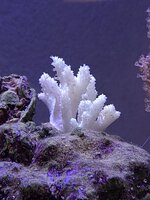 20241123_185117.jpg
