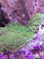 20241123_183851.jpg