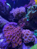 IMG_7415.jpg IMG_7415.jpg