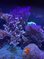 IMG_7418.jpg IMG_7418.jpg