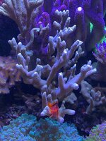 IMG_7425.jpg IMG_7425.jpg