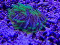 IMG_7441.jpg