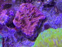 IMG_7443.jpg