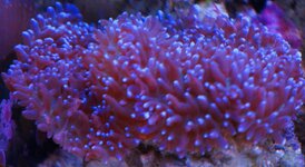 DSC09542.JPG