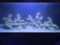 IMG_0787.jpeg