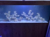 IMG_0786.jpeg