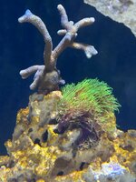 IMG_0798.jpeg