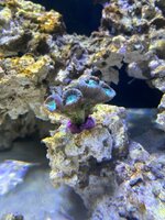 IMG_0797.jpeg