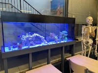 IMG_8702.jpeg