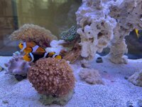 IMG_8704.jpeg