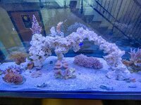 IMG_8705.jpeg