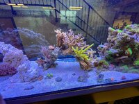 IMG_8706.jpeg