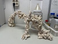 IMG_8572.jpeg