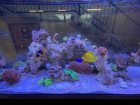 IMG_8735.jpeg