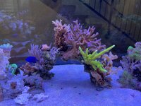 IMG_8734.jpeg