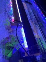IMG_8741.jpeg