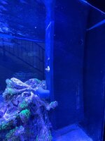 IMG_8728.jpeg