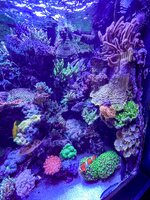 IMG_8770.jpeg