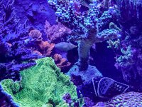 IMG_8771.jpeg