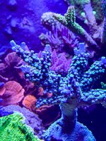 IMG_8760.jpeg