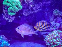 IMG_8764.jpeg