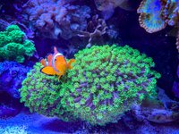 IMG_8758.jpeg
