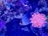 IMG_8766.jpeg