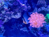 IMG_8765.jpeg
