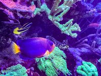 IMG_8762.jpeg
