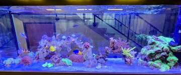 IMG_8799.jpeg