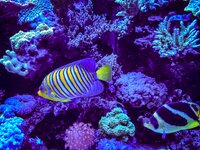 IMG_8818.jpeg