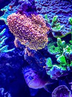 IMG_8813.jpeg