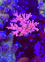 IMG_5978.jpeg